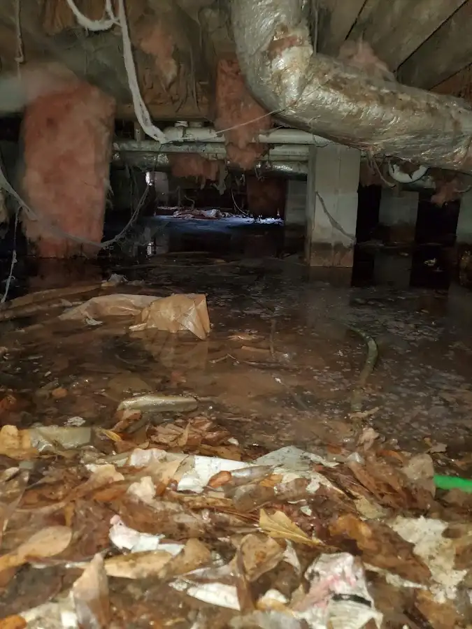Crawl space flood assessment for Leak Detection & Repair in Farmington